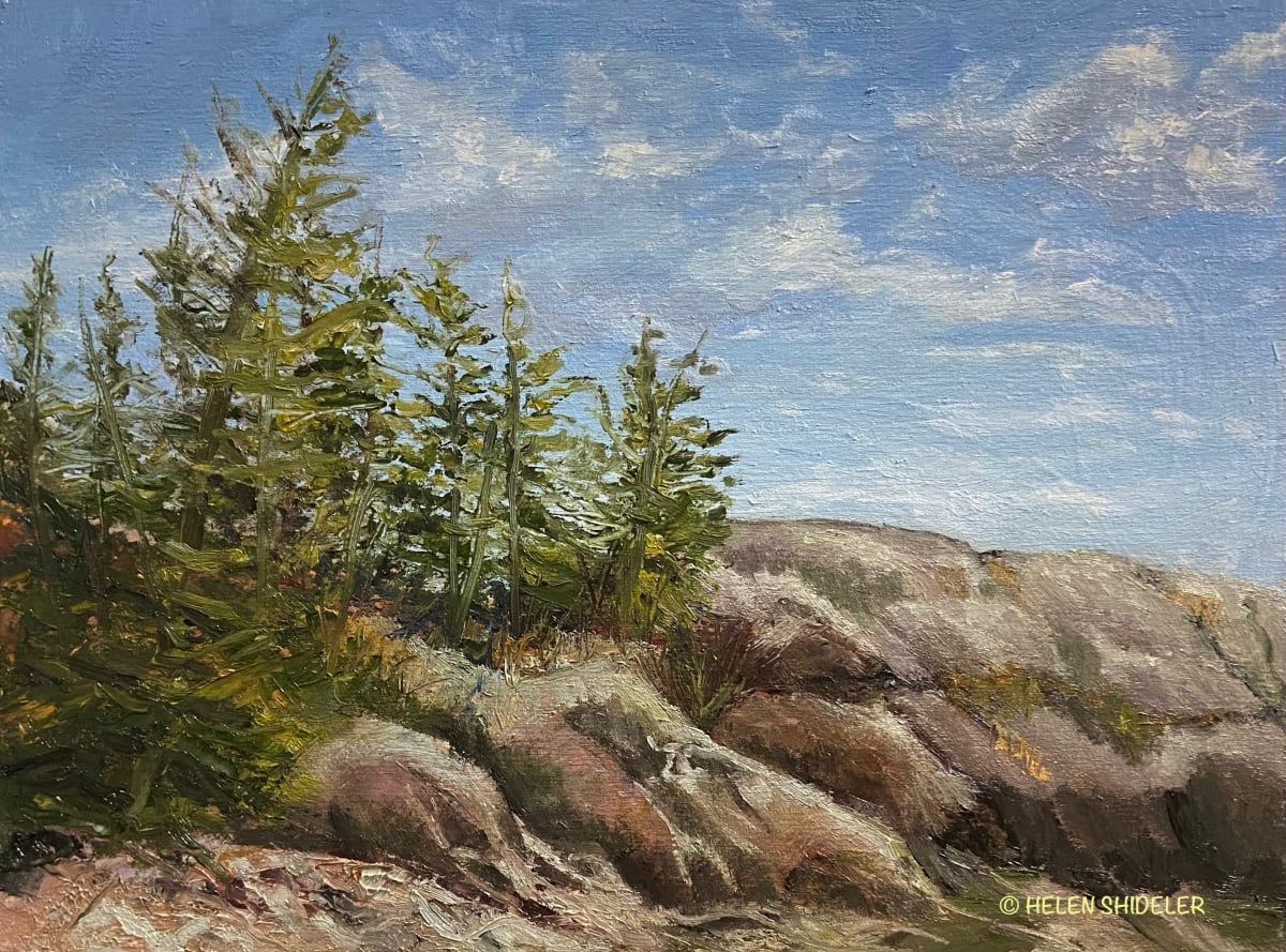 https://helenshideler.com/plein-air/irving-nature-park-in-the-spring by Helen Shideler 