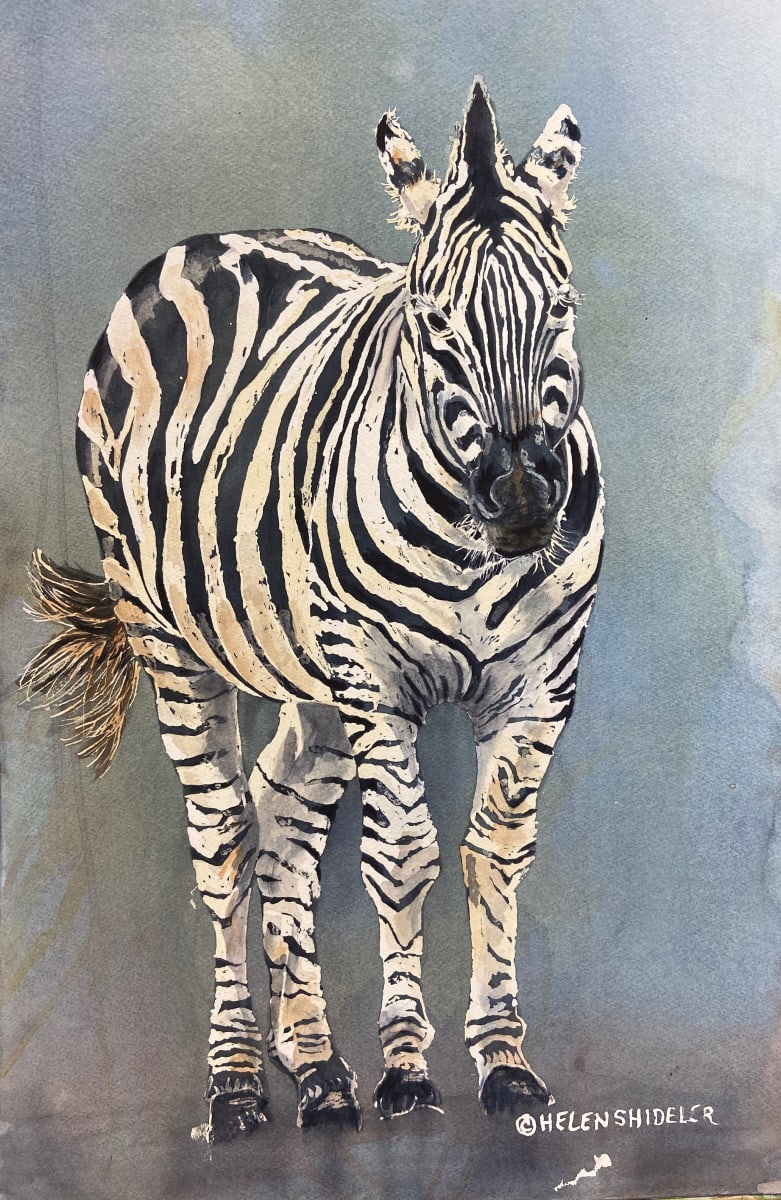 Zephyr by Helen Shideler 