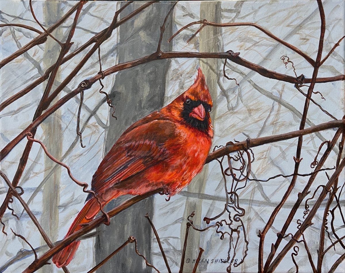 Waiting His Turn  Image: Cardinal painting