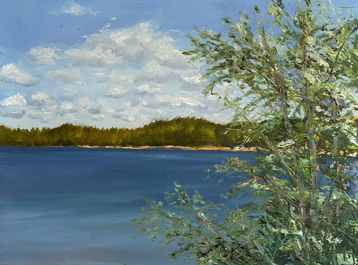 https://helenshideler.com/plein-air/summer-day-on-lac-cameron-in-quebec by Helen Shideler 
