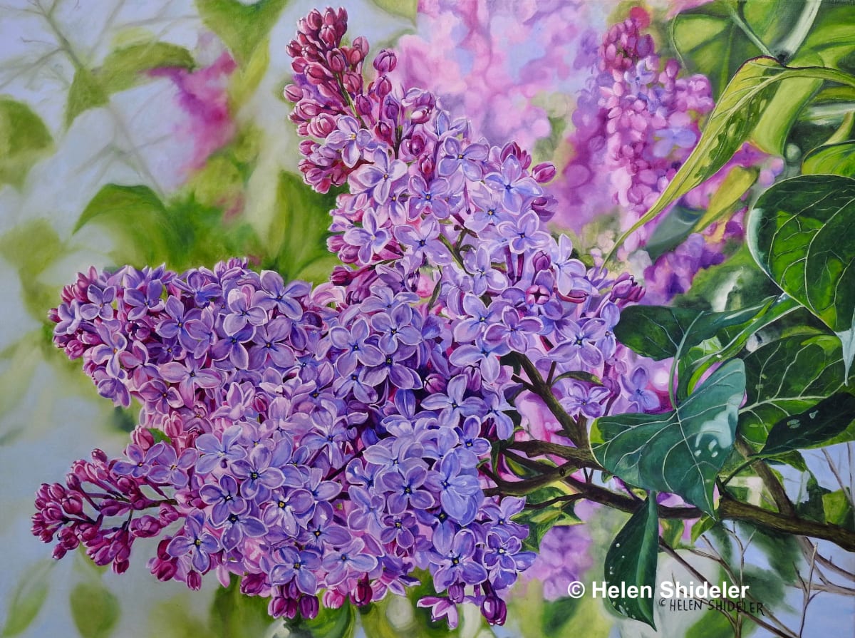 Scent of Spring 