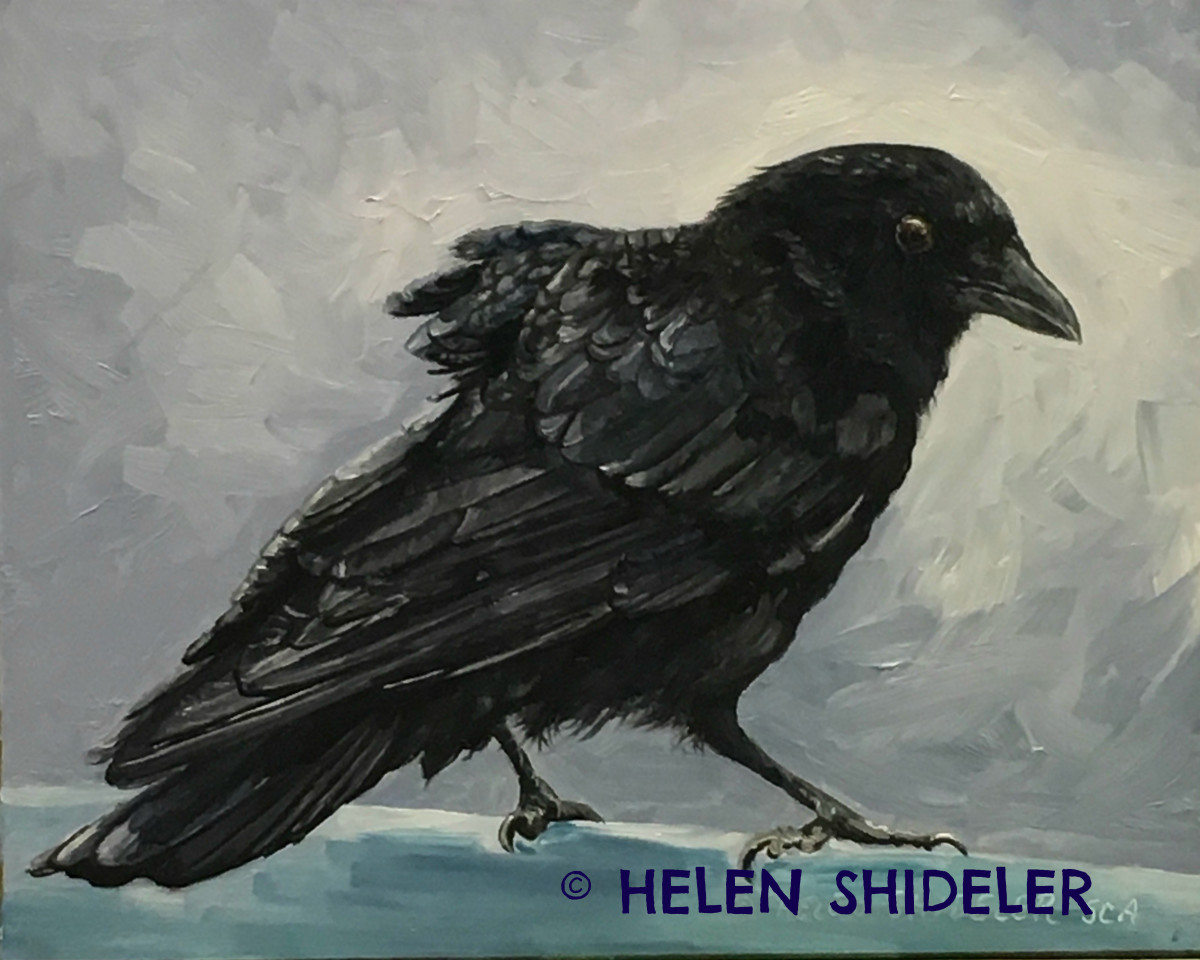 On The Fence by Helen Shideler 
