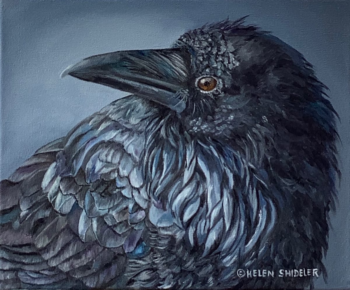 Inquisitive by Helen Shideler 