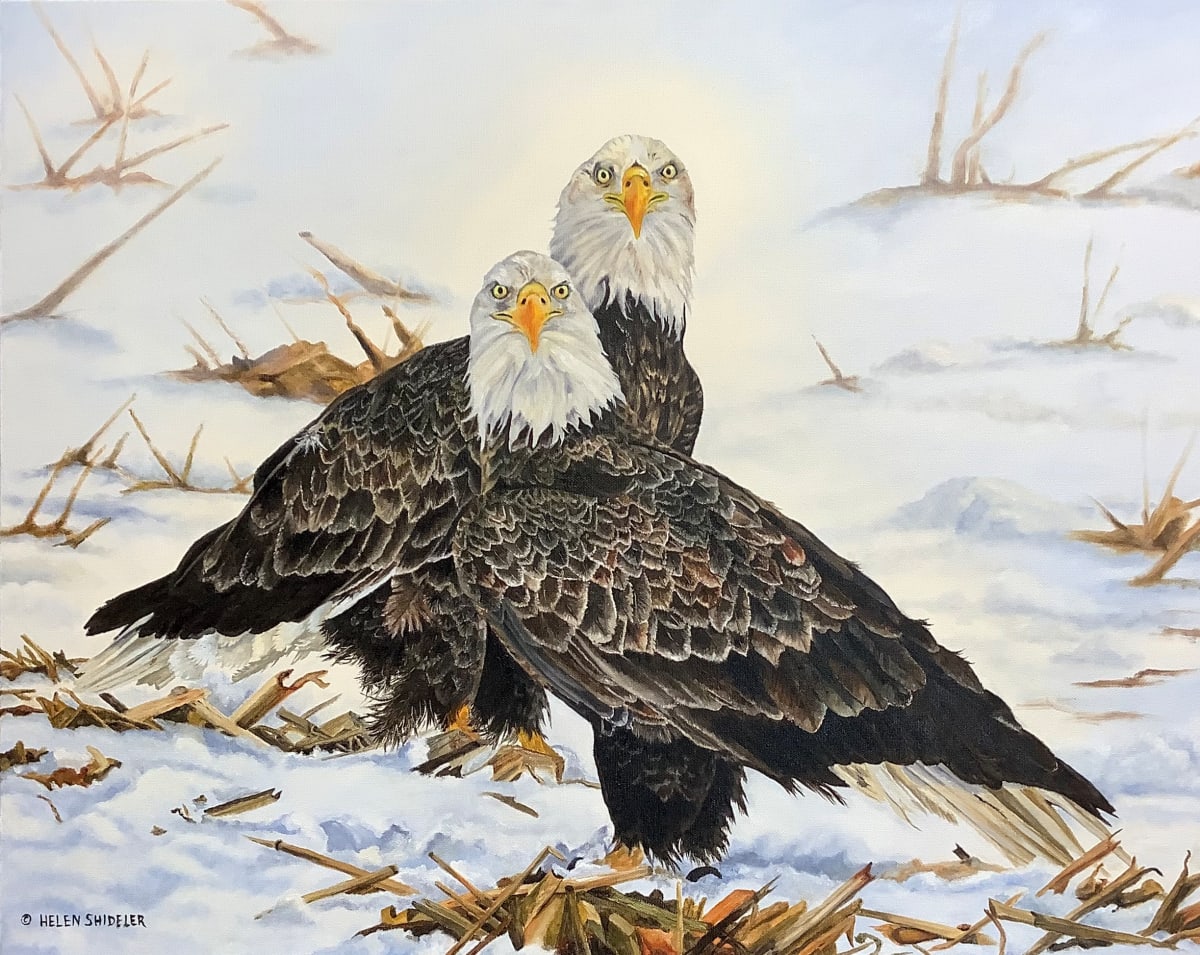 Regal Raptures by Helen Shideler 