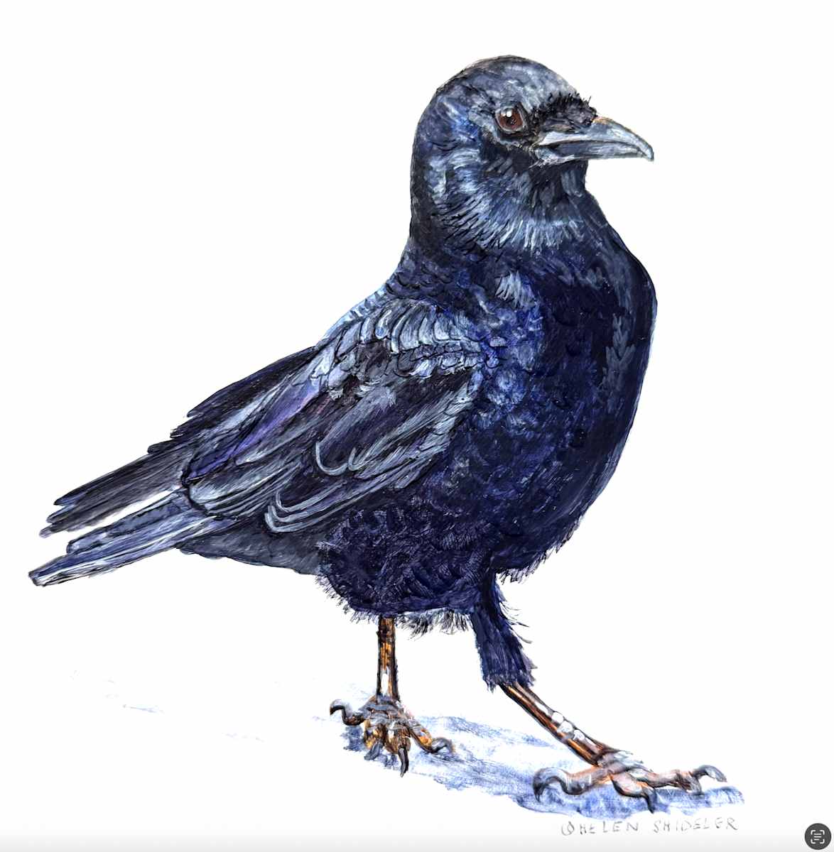 Strut in Style by Helen Shideler 