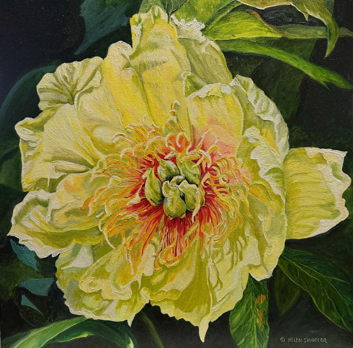 Mellow Yellow by Helen Shideler 