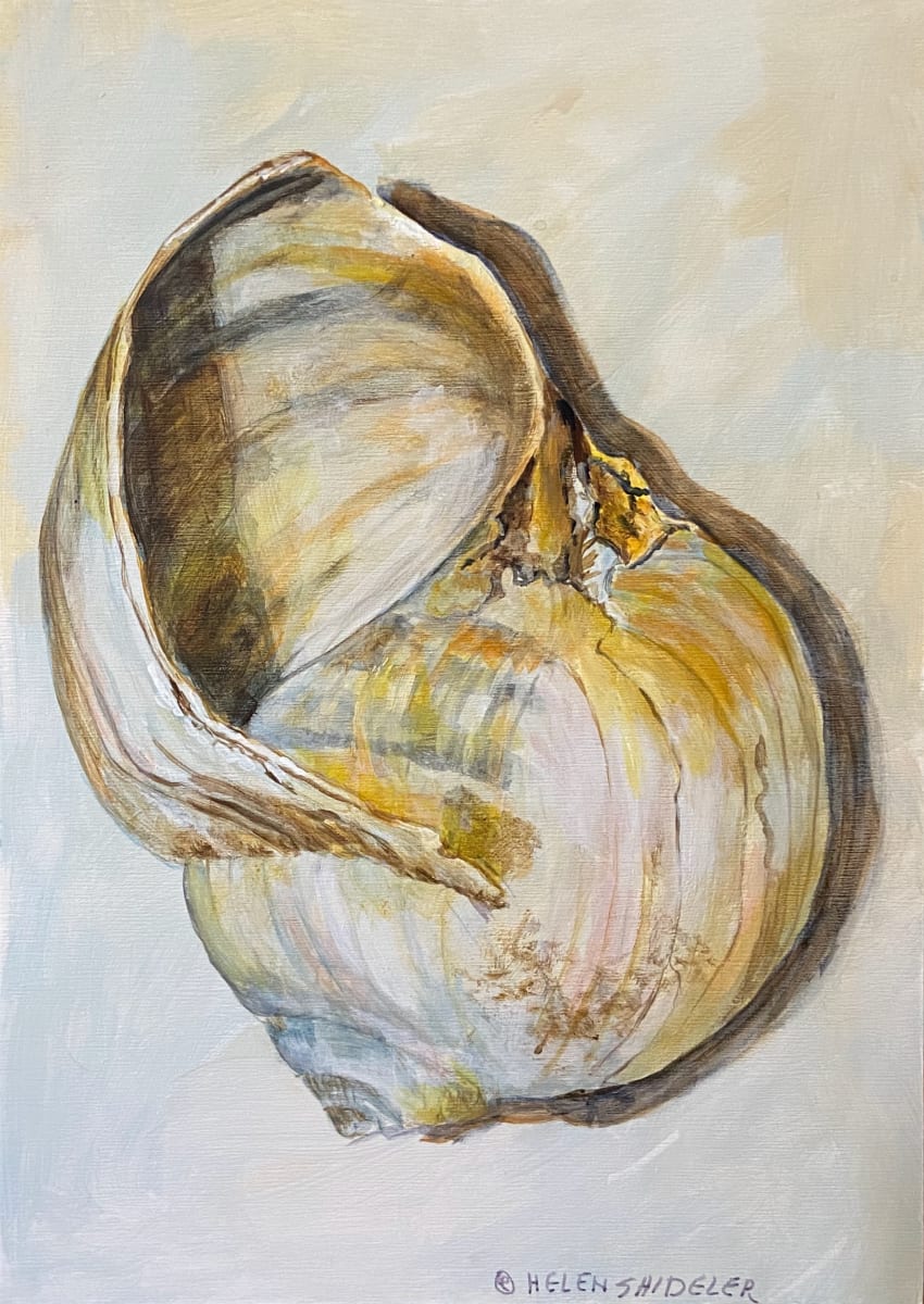 Moon Snail III by Helen Shideler 