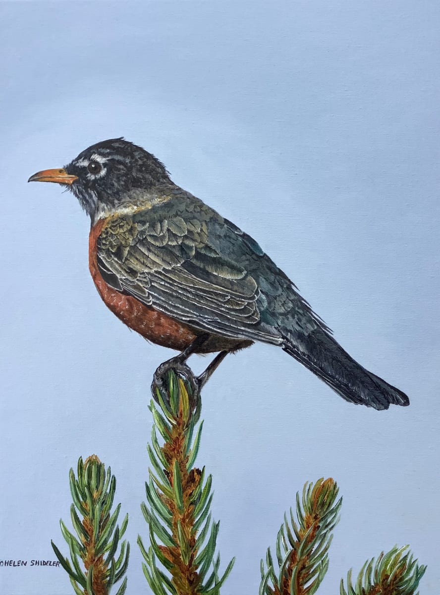 Spring Serenade by Helen Shideler 
