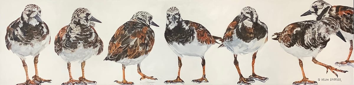 Stepping Out by Helen Shideler 