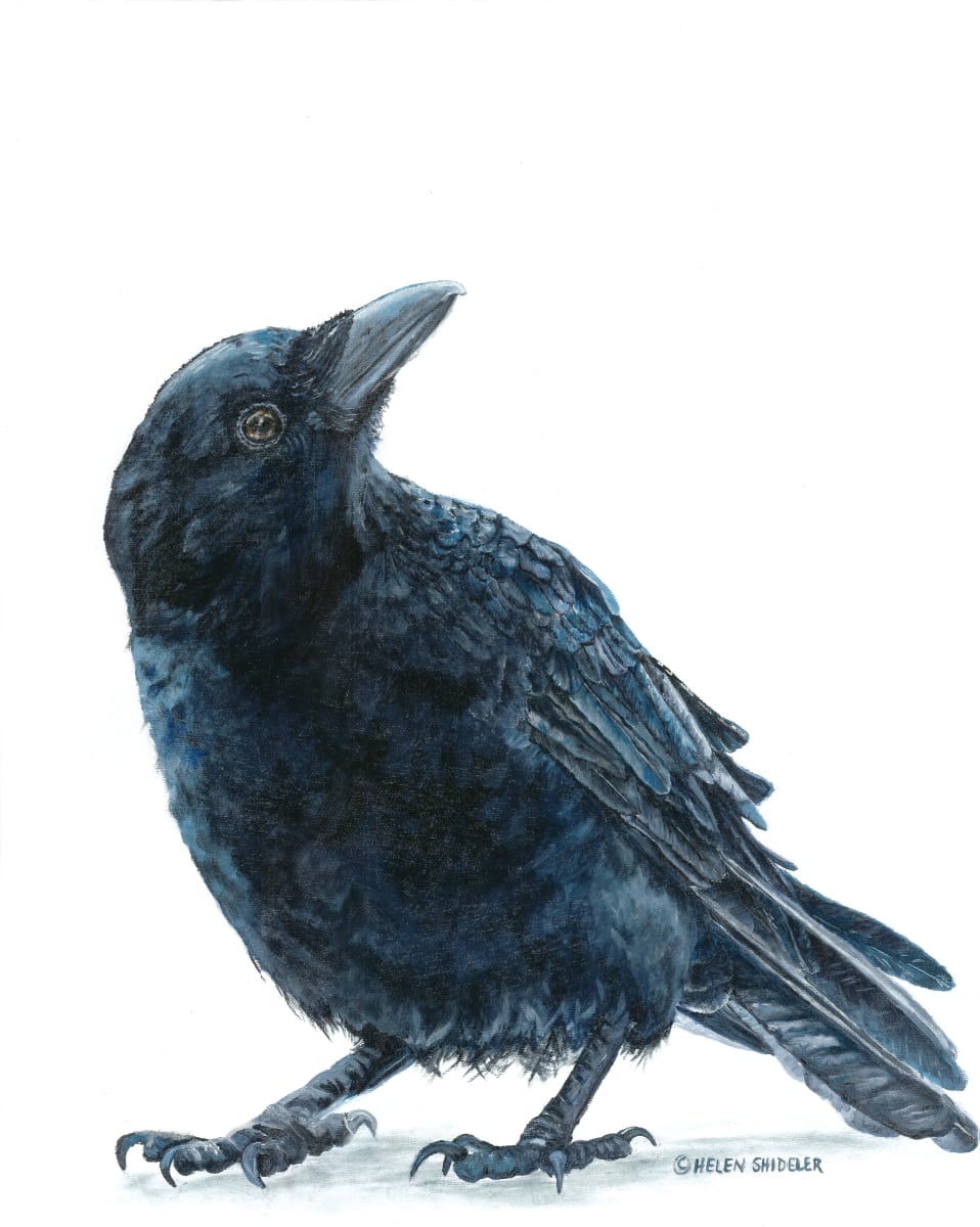 Conundrum by Helen Shideler 