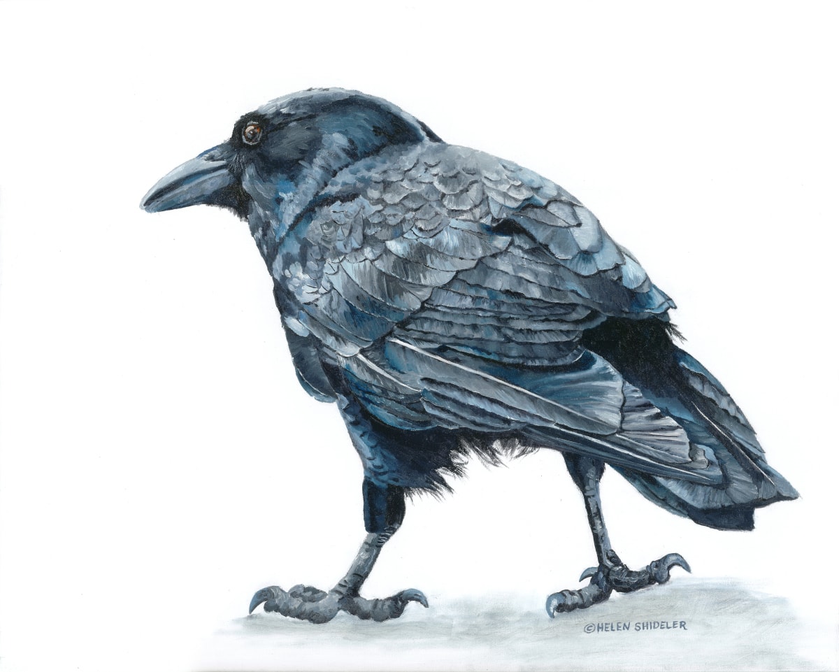 Nonchalant by Helen Shideler 