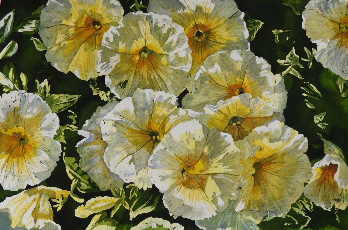 Sunshine and Shadows by Helen Shideler 