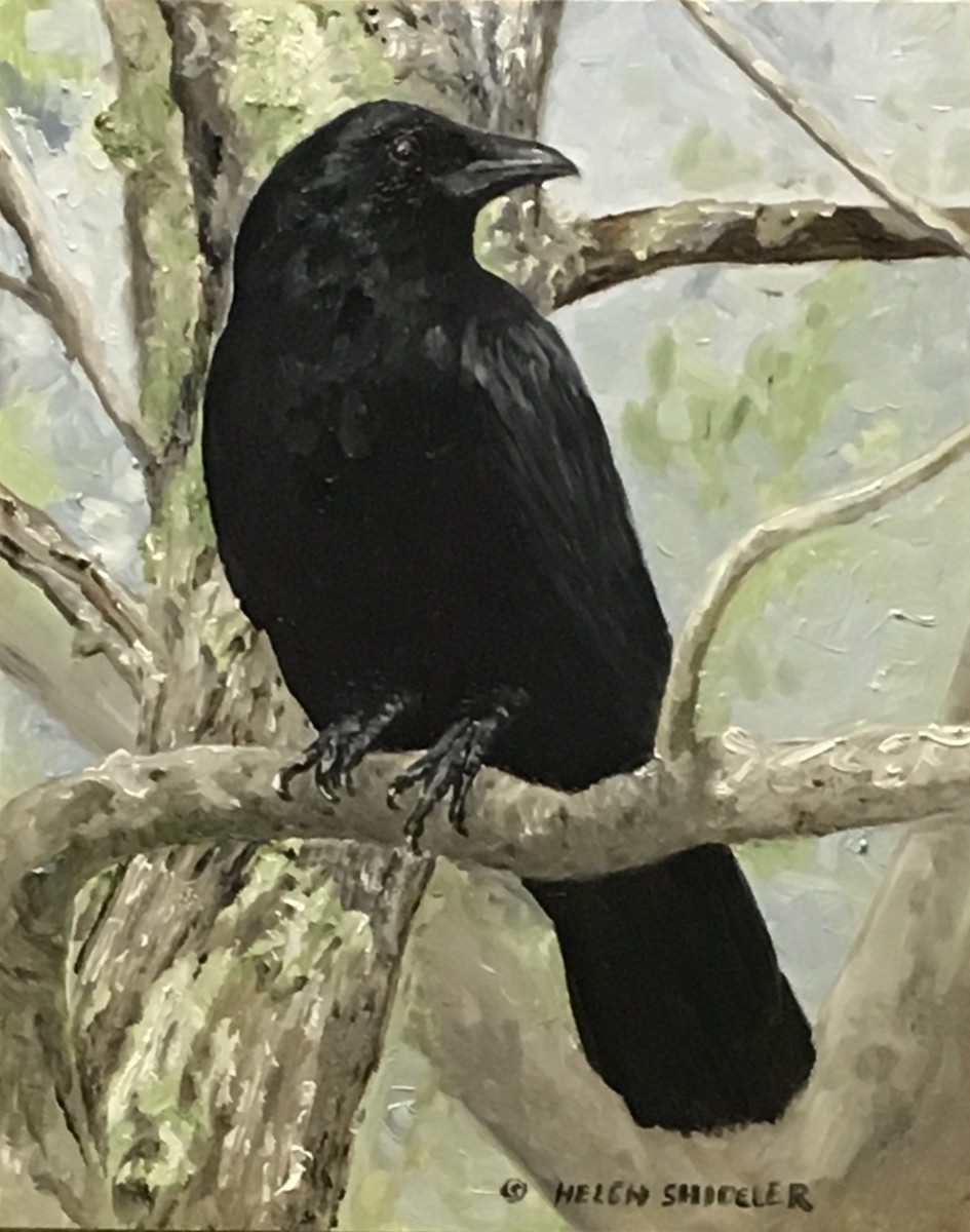 Vantage Point by Helen Shideler 