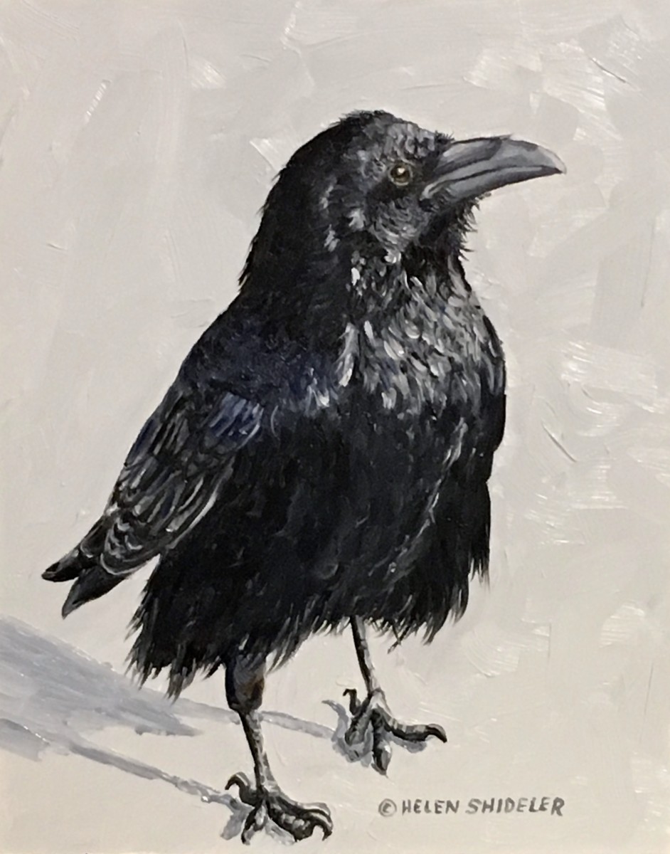 Proud by Helen Shideler 