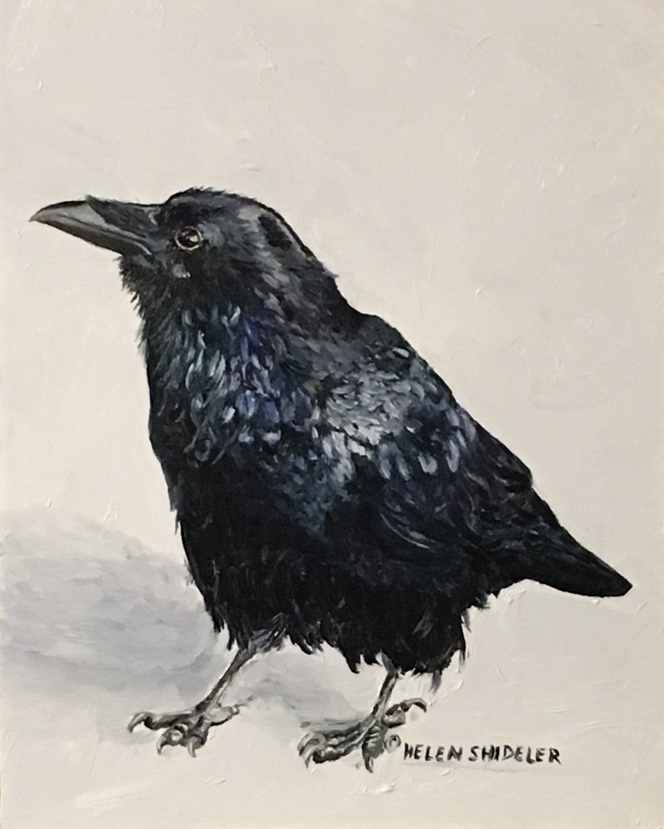 Check That Out by Helen Shideler 