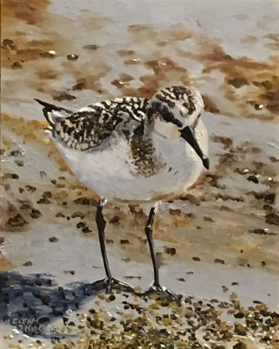 Home on the Beach by Helen Shideler 
