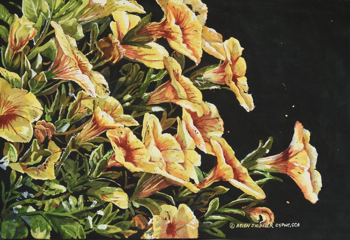 Summertime Promises by Helen Shideler 