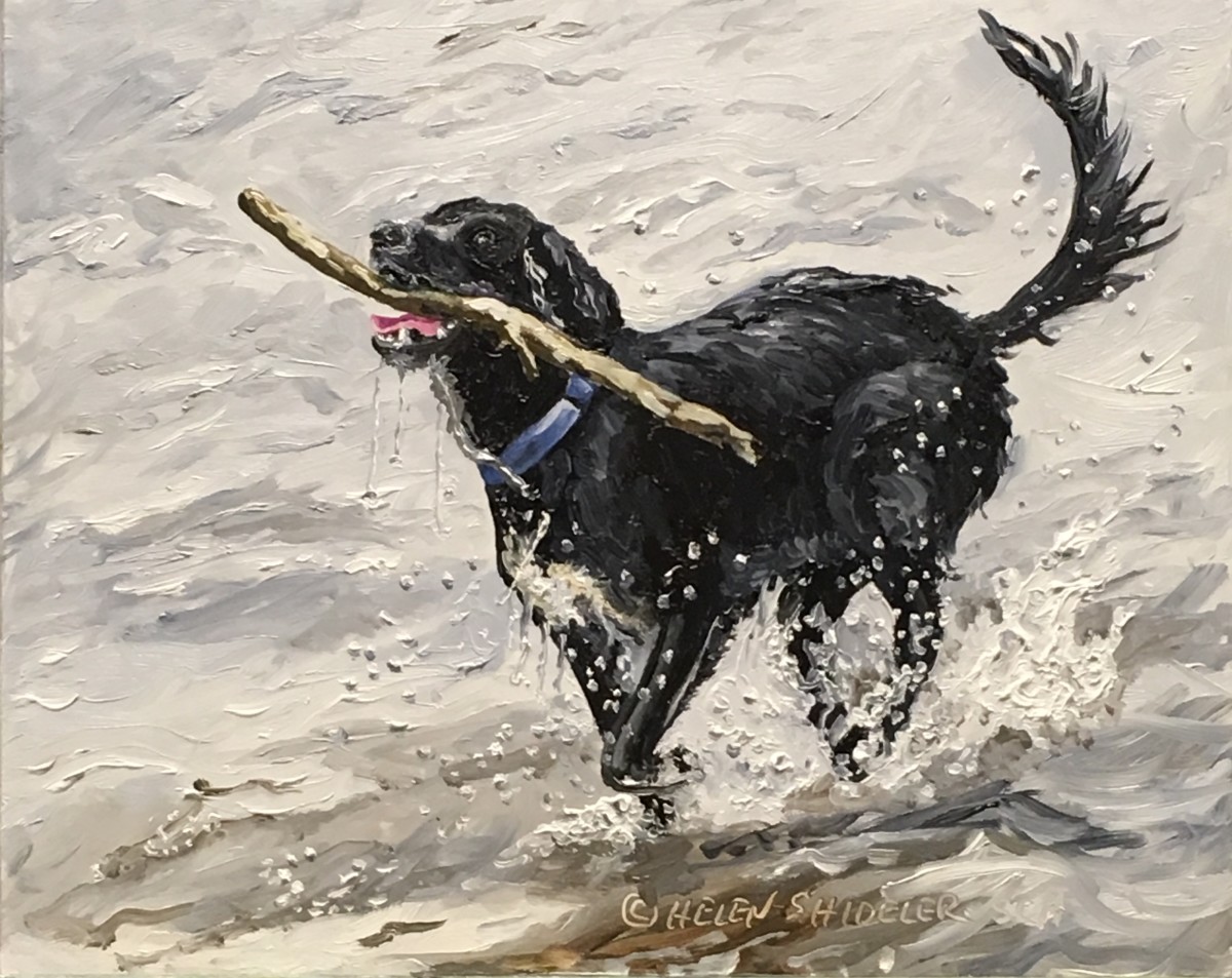 Fetching Fun by Helen Shideler 