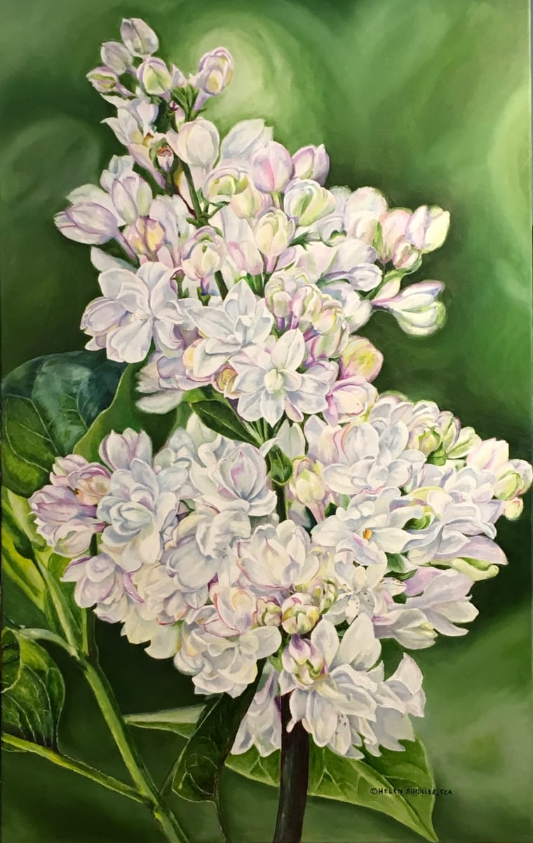 Spring Scentsation by Helen Shideler 