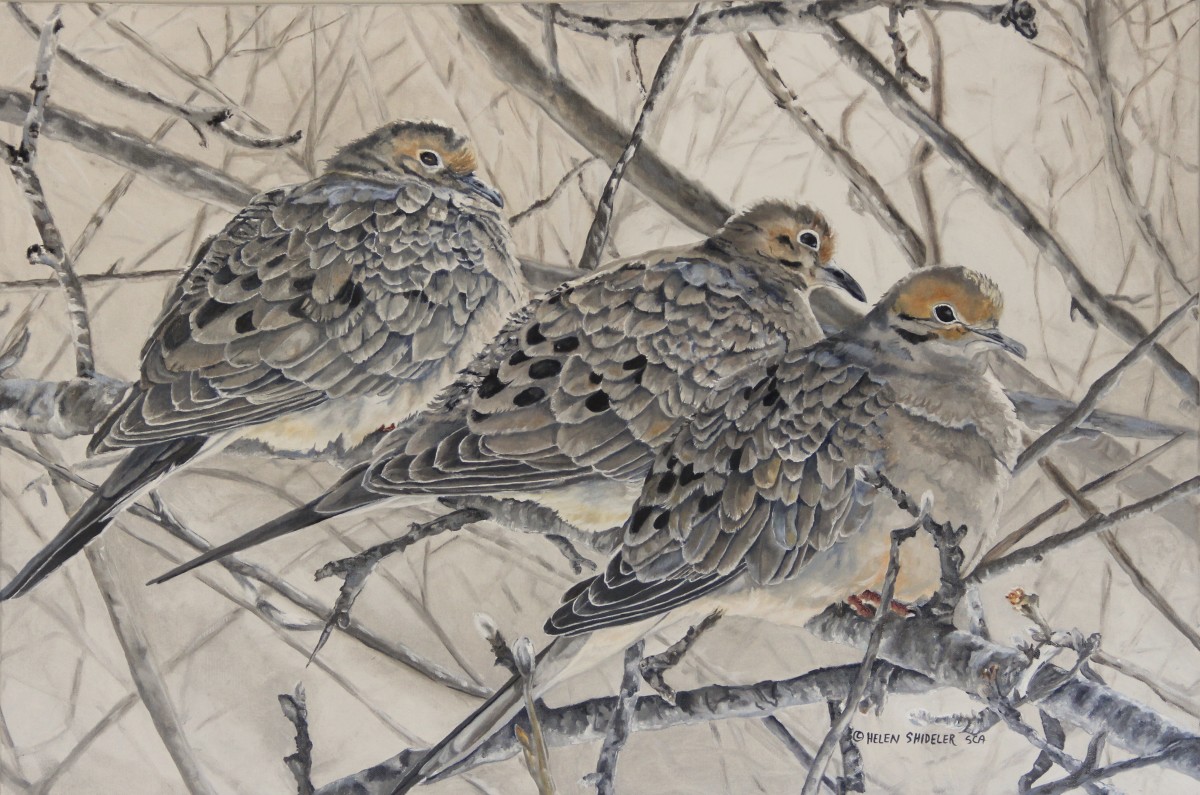 Moody Mourning by Helen Shideler 