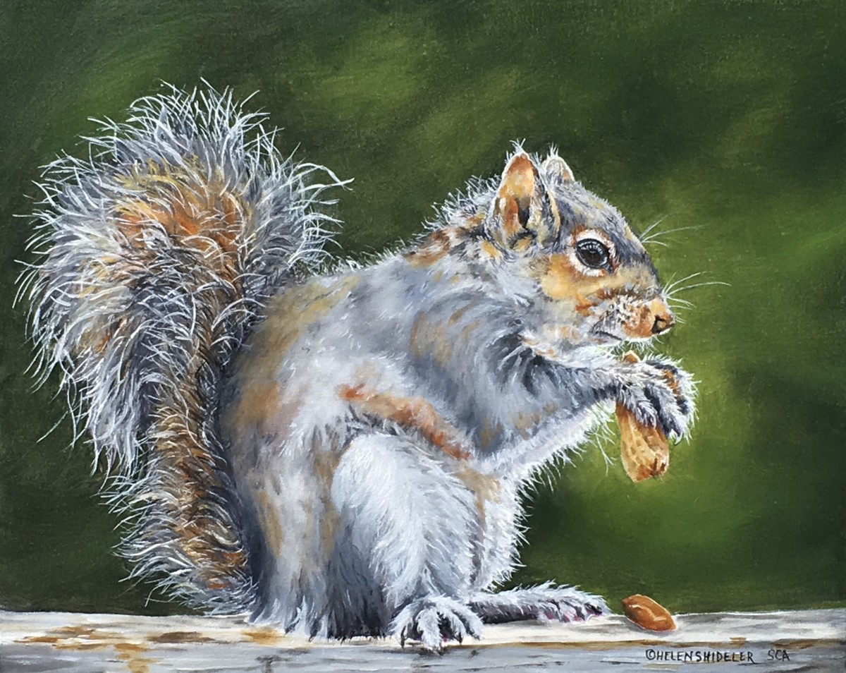 Nut Case by Helen Shideler 