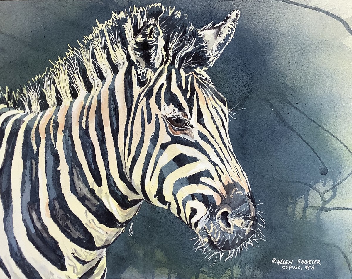 Memories of Addo I by Helen Shideler 