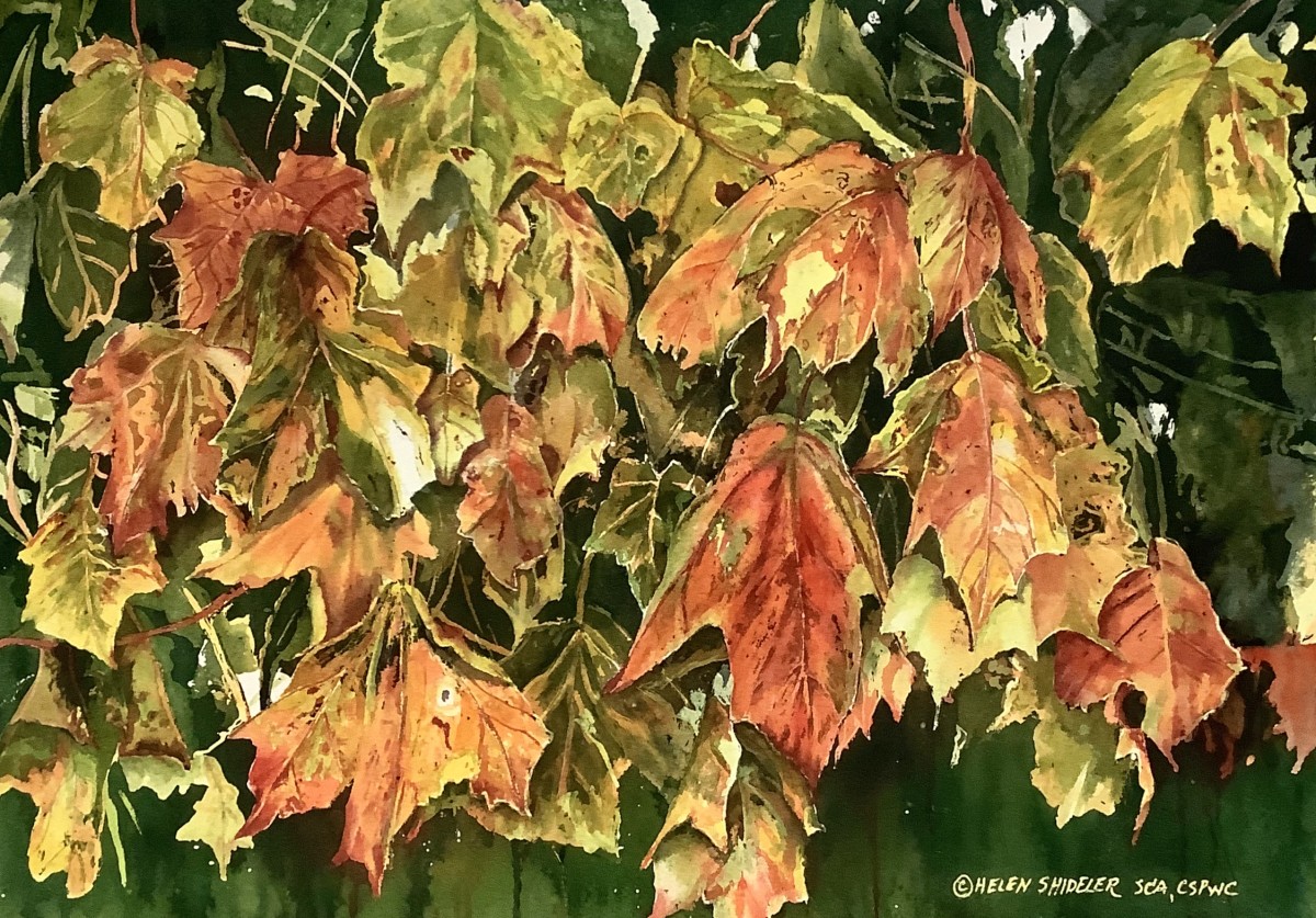 Autumn by Helen Shideler 