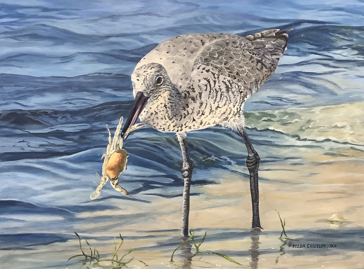 Fresh Crab by Helen Shideler 
