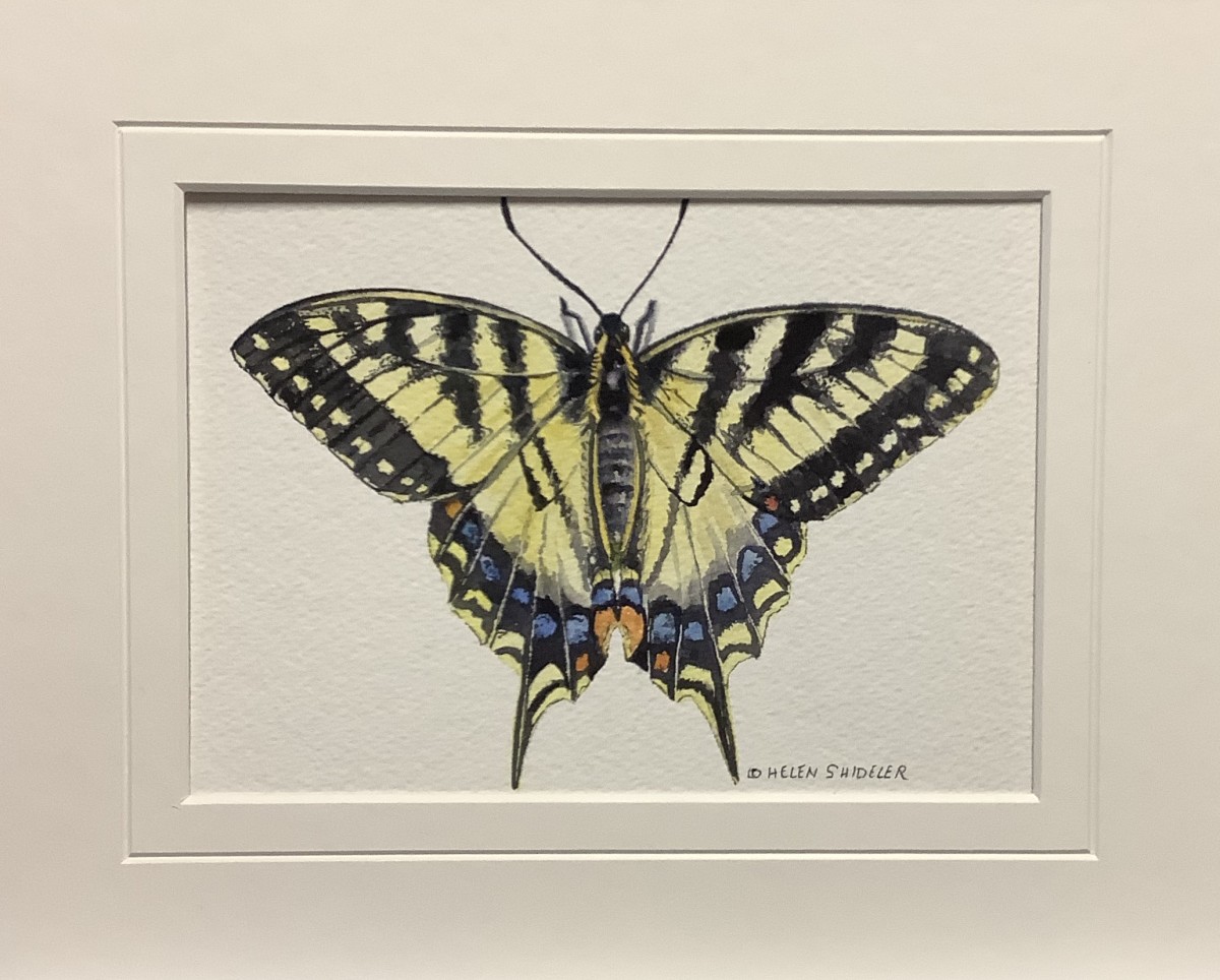 Social Butterfly II by Helen Shideler 