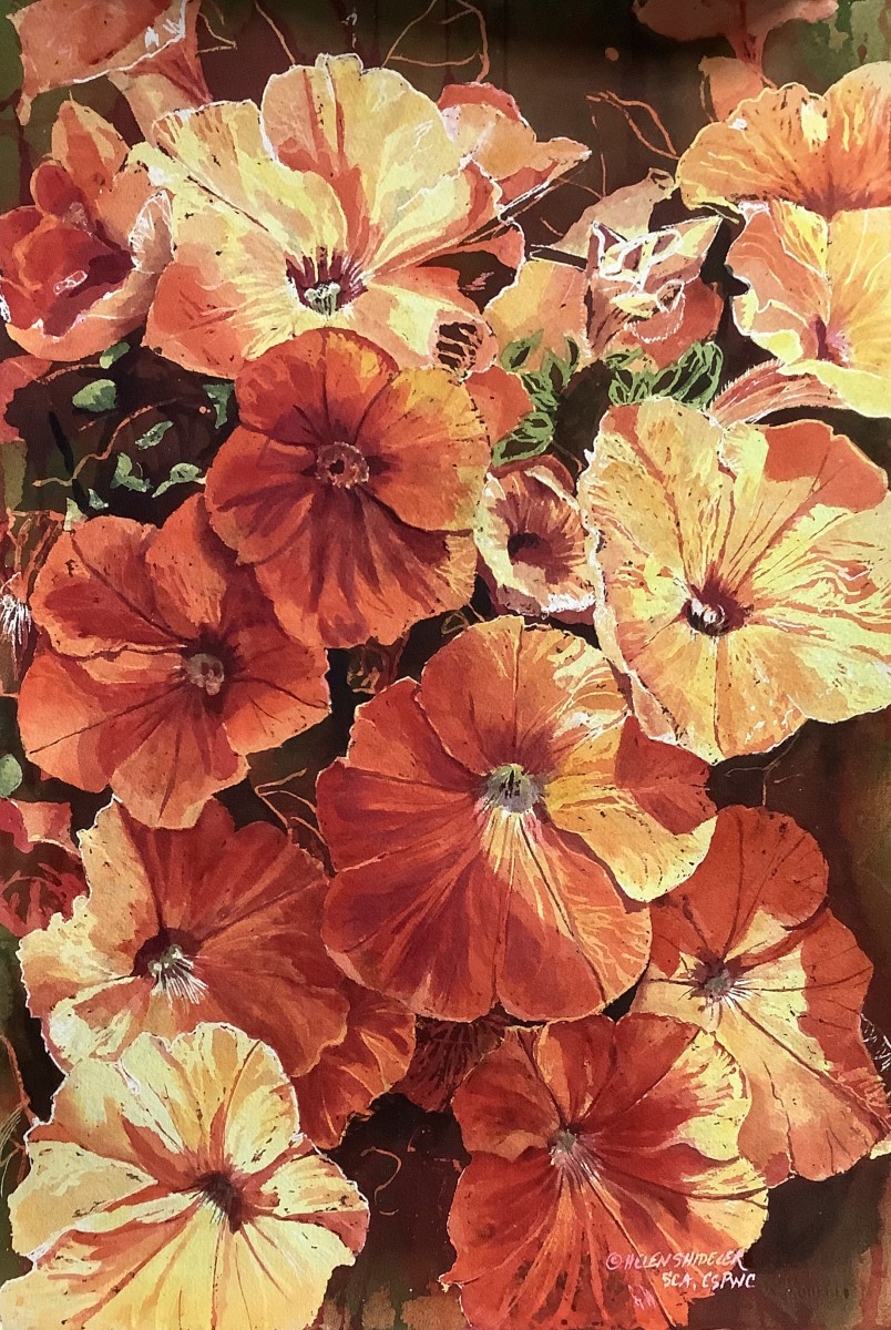 Blazing Blossoms by Helen Shideler 