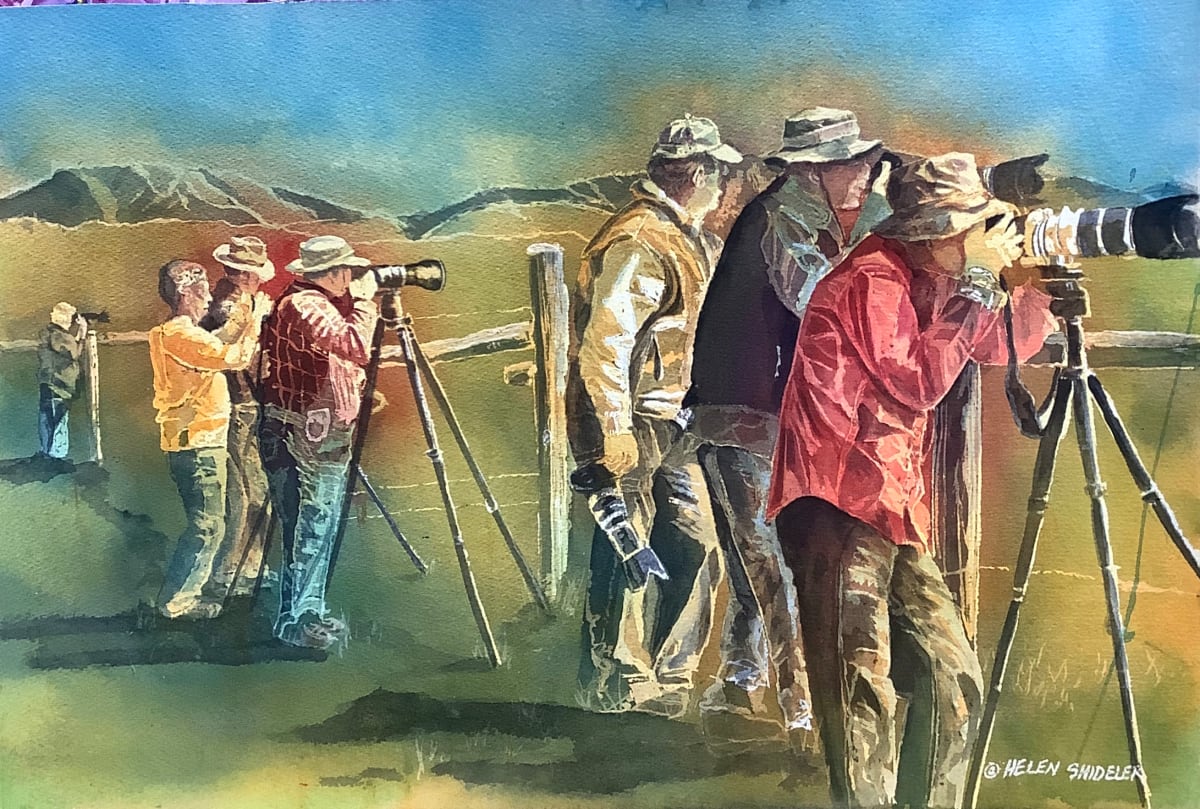 Focused by Helen Shideler 