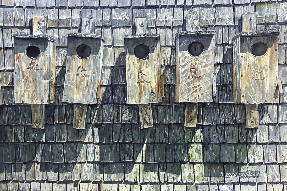 Ducks in a Row by Helen Shideler 