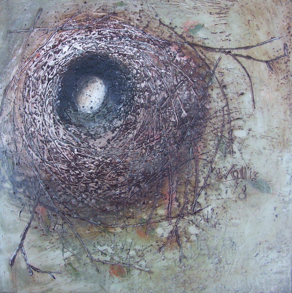 Hushed by Susan  Wallis 