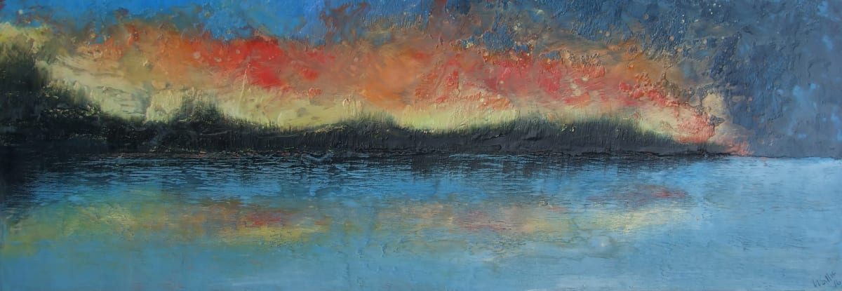 Burning Skies by Susan  Wallis 