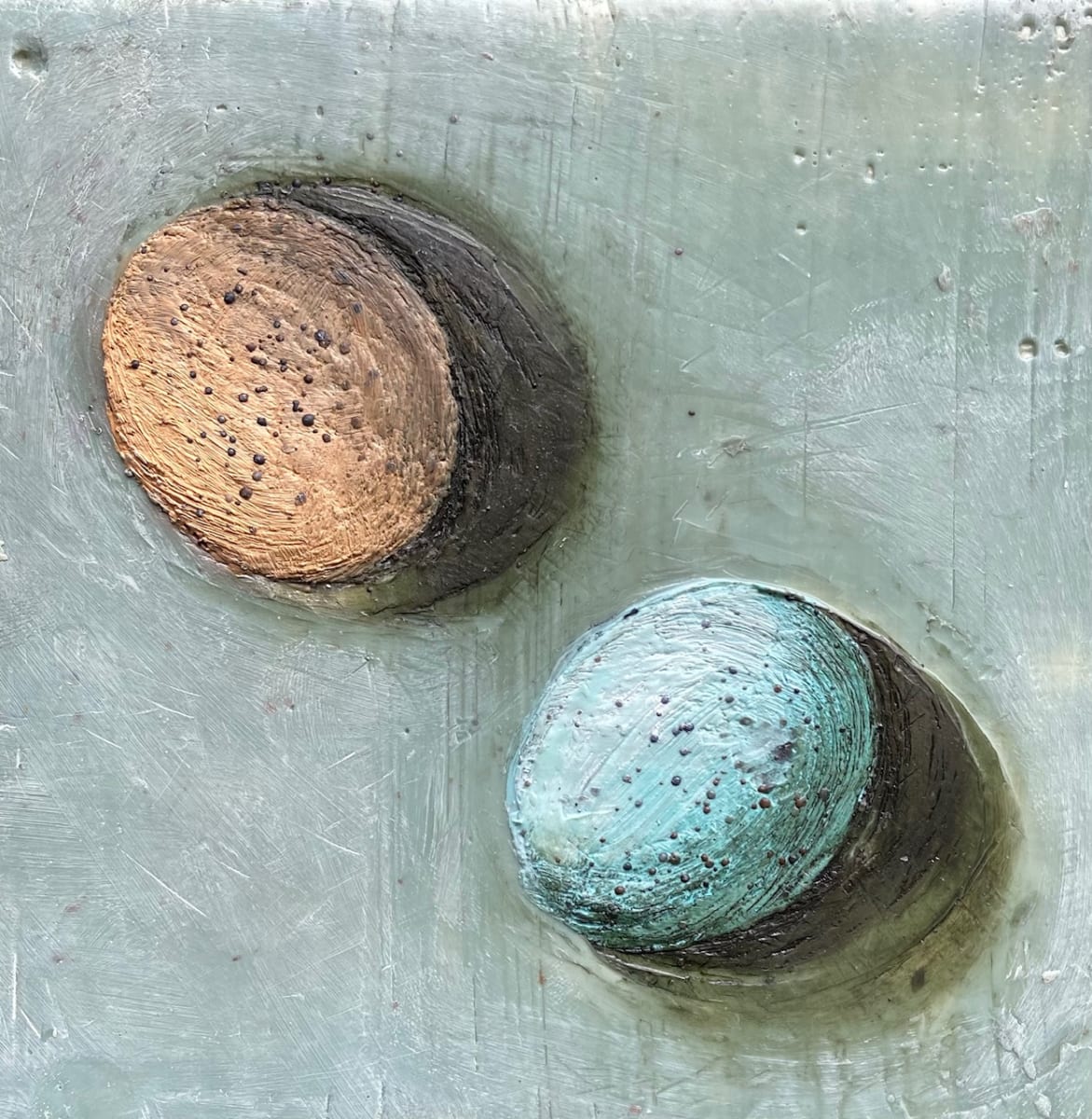 Egg Shadows by Susan  Wallis 