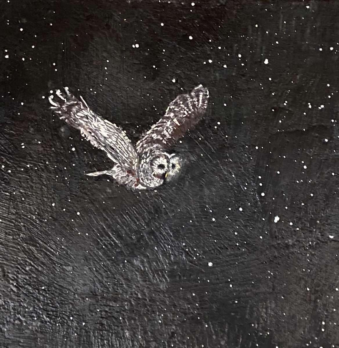 Silent Drift (Barred Owl) by Susan Wallis, Image 1.