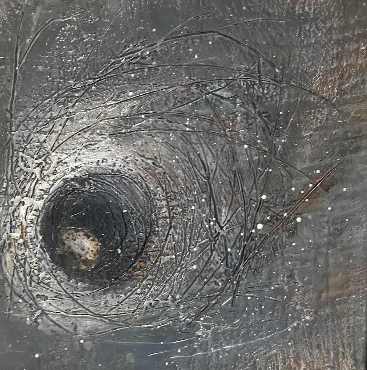 Nesting in the Dark by Susan Wallis, Image 2.