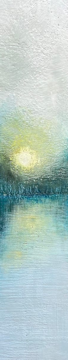 Shimmer by Susan  Wallis 