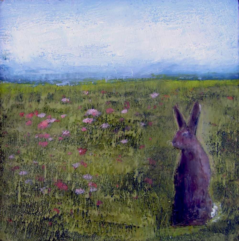 Mr. Curious by Susan  Wallis 