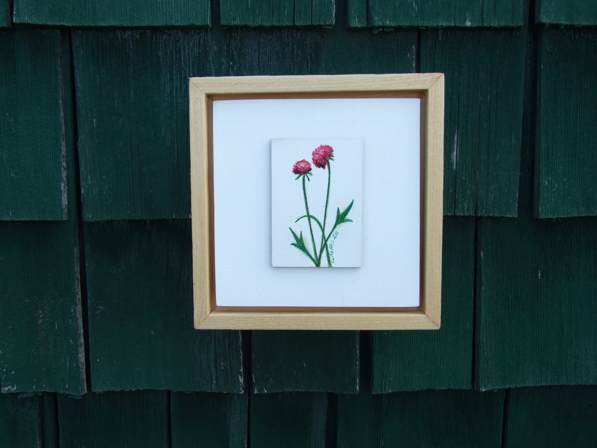 Scabiosa I by Susan Wallis, Image 1.