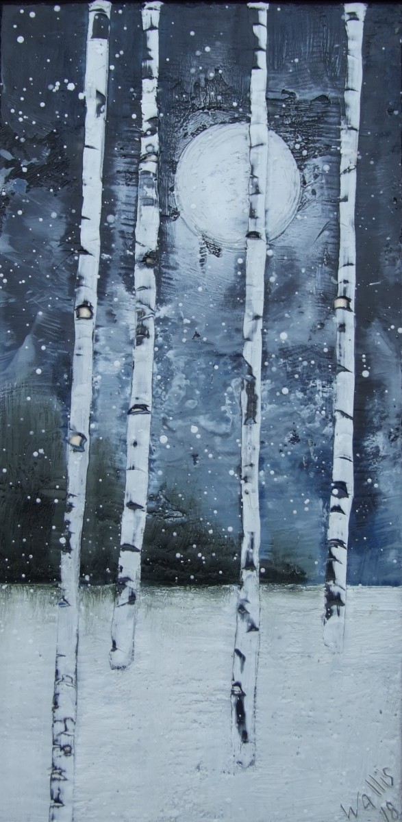 Silent Moon by Susan  Wallis 