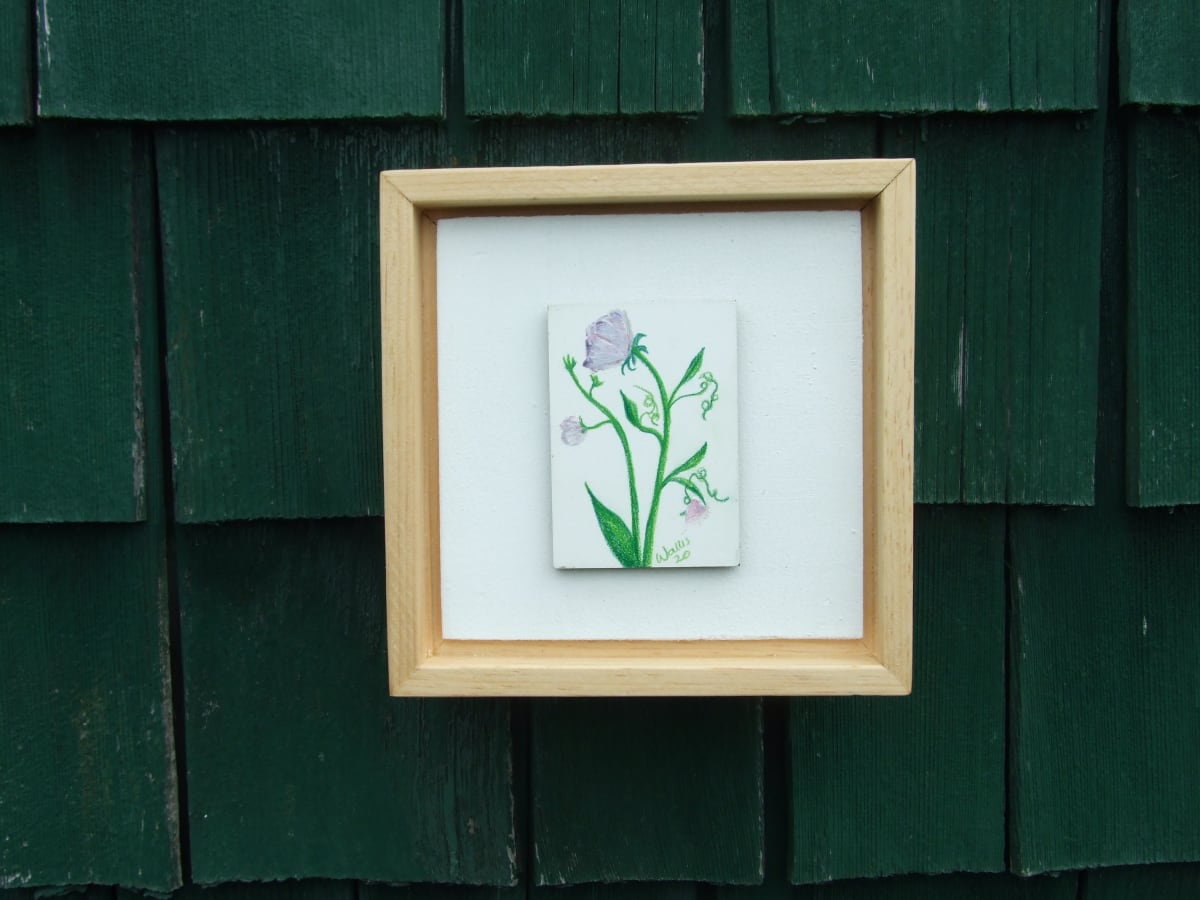 Sweet Pea by Susan Wallis, Image 1.