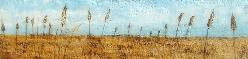 The Bounty by Susan  Wallis 