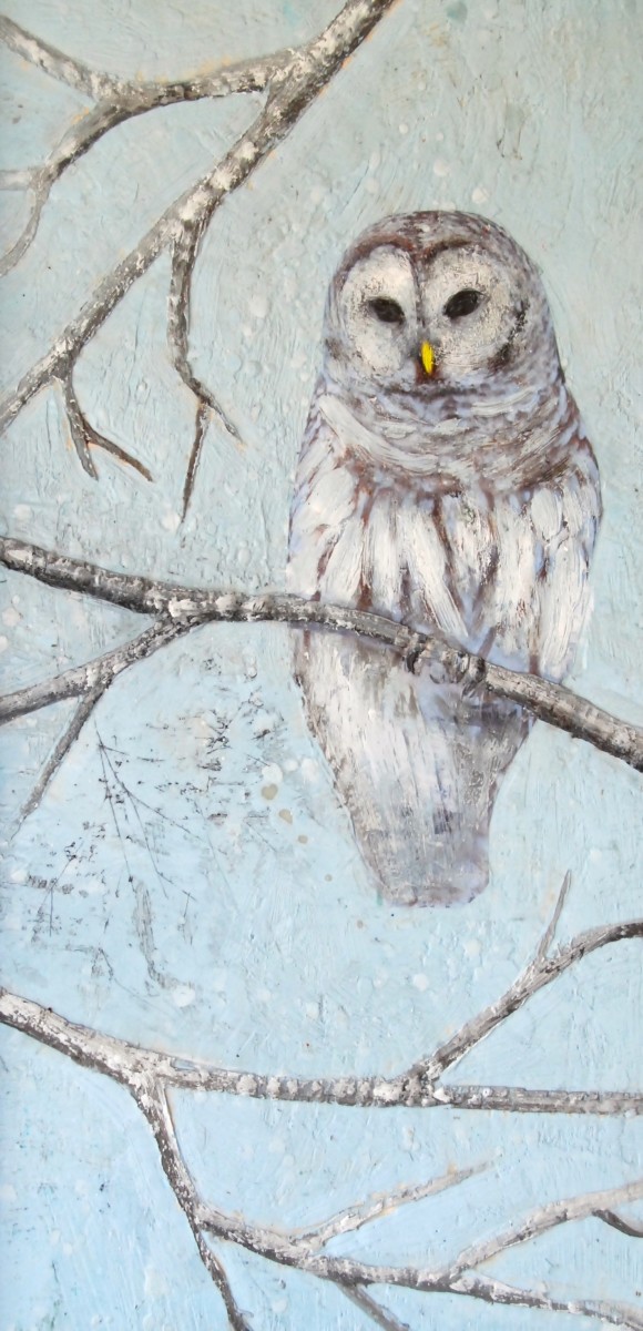 The Owl Knows by Susan  Wallis 
