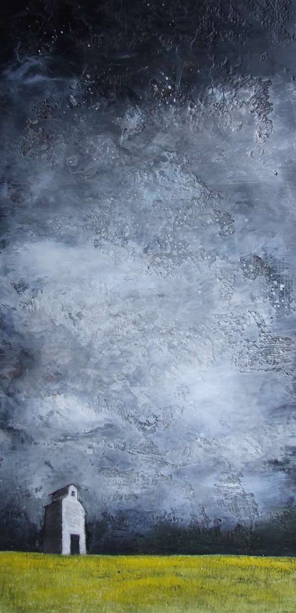 Under Fierce Skies by Susan  Wallis 