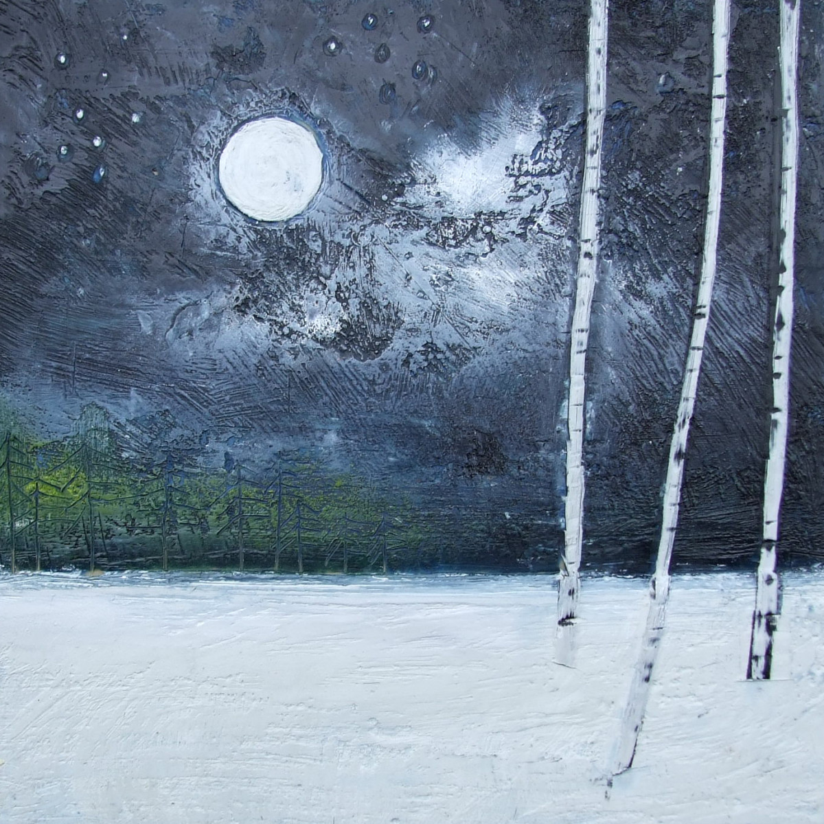 Winter's Silence by Susan  Wallis 