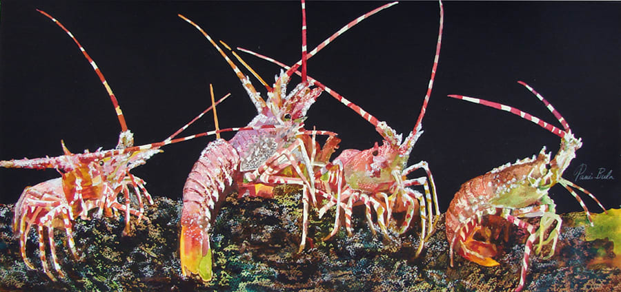 Lobsters on Parade by Tanis Bula 