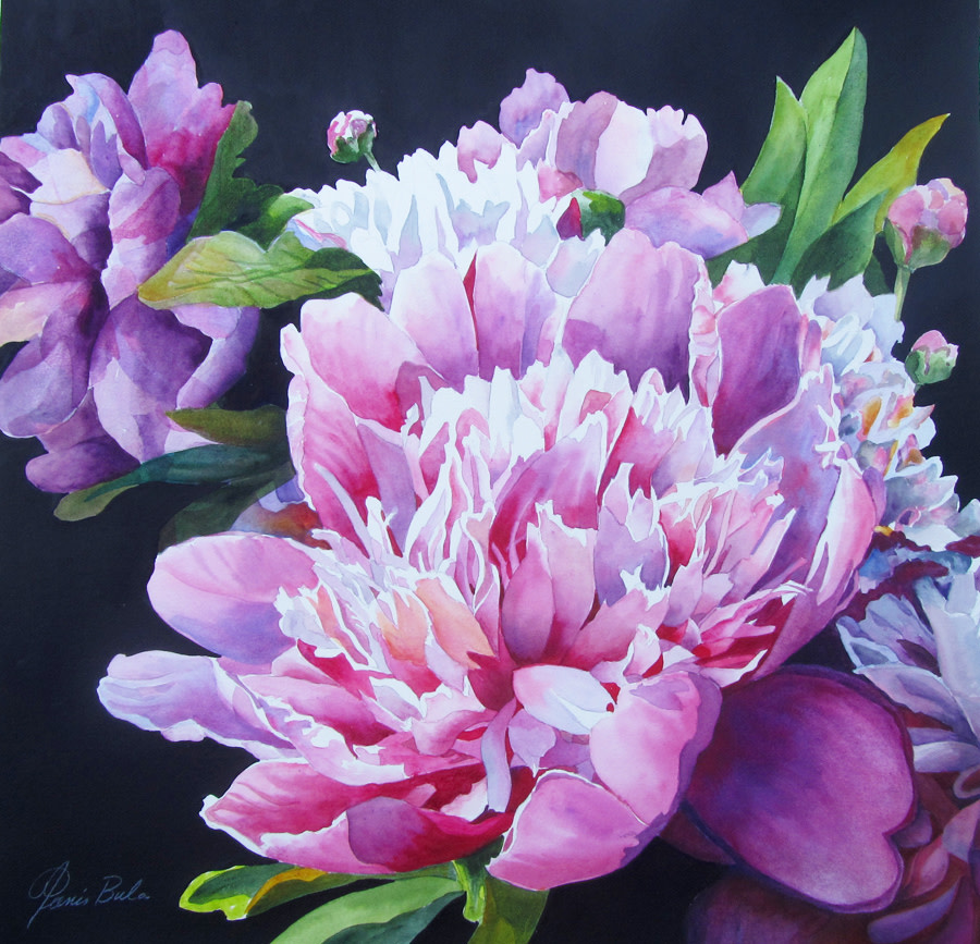Bright Pink Peonies by Tanis Bula 