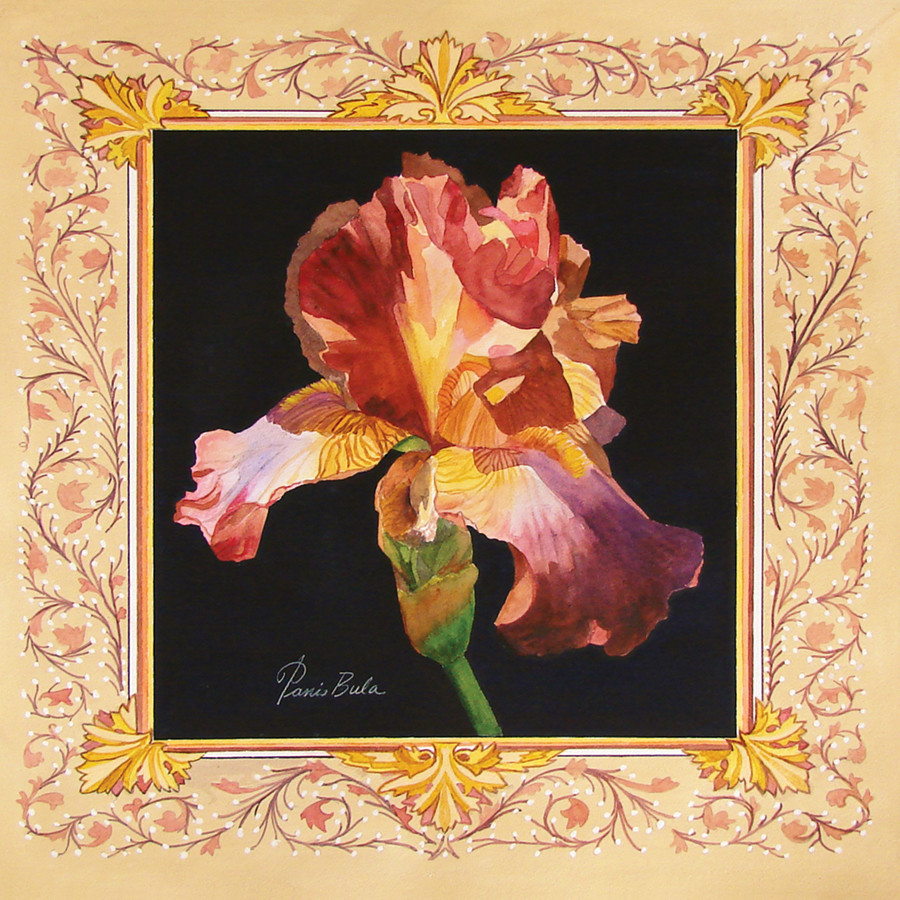 Red Iris in Border by Tanis Bula, Image 1.