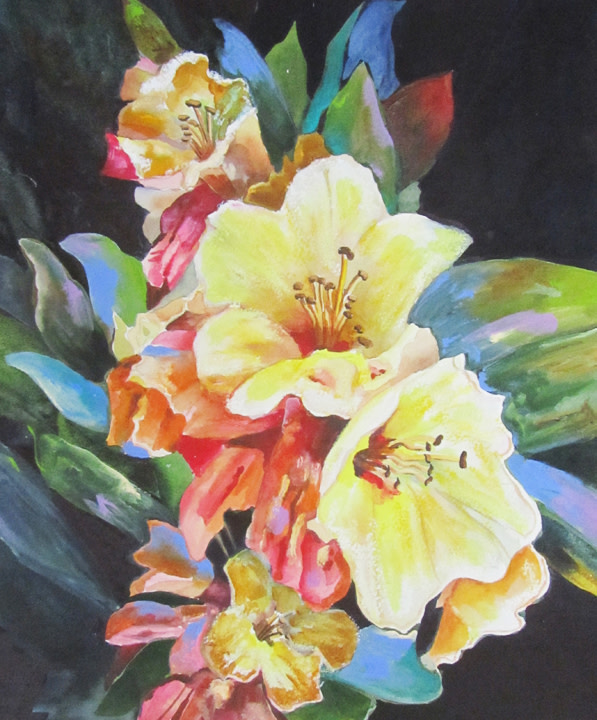 Yellow Rhoadies by Tanis Bula 